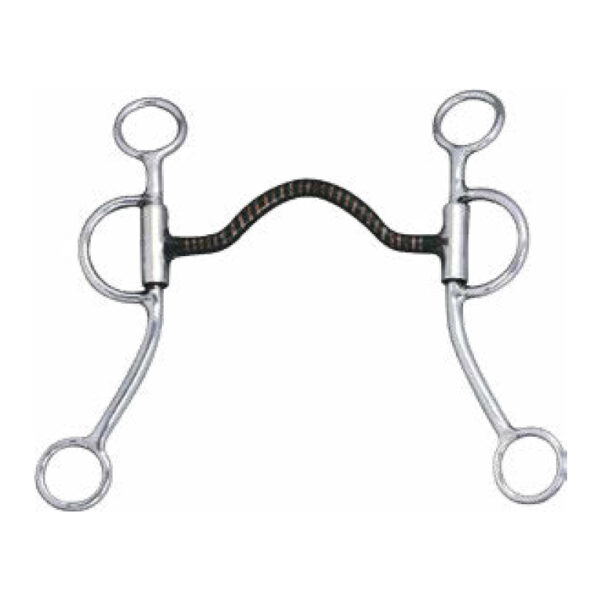 Gag Bit