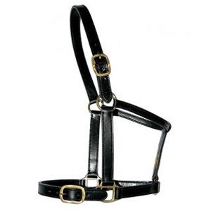 Leather Halter