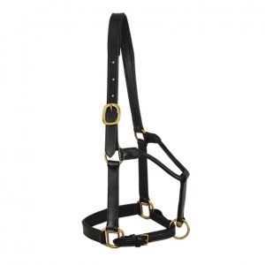 Leather Halter