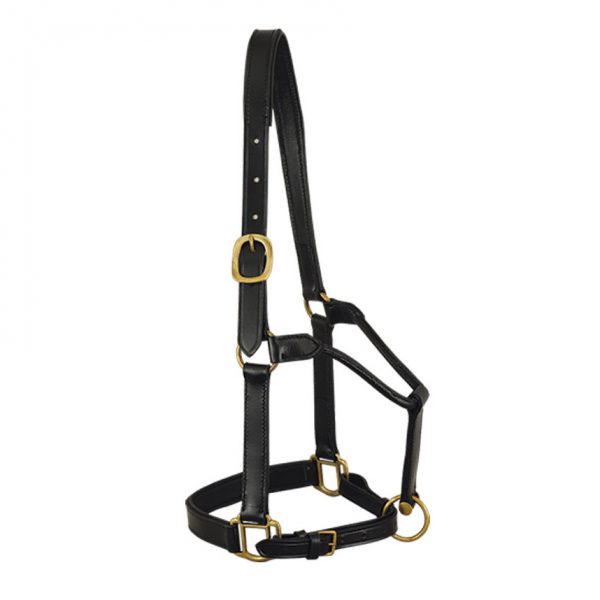 Leather Halter