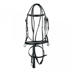 Leather Bridle