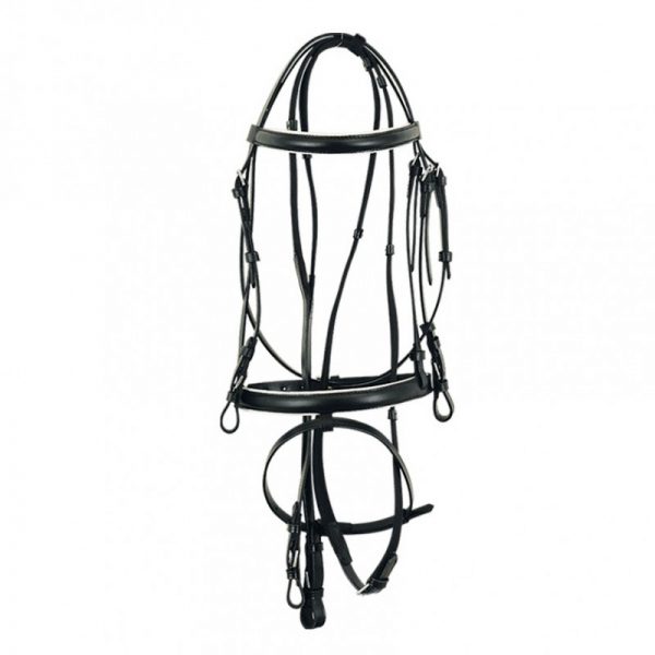 Leather Bridle