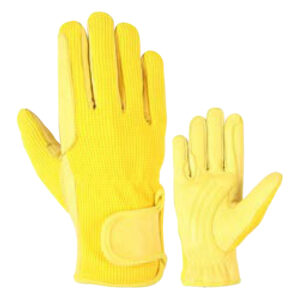 Riding Gloves
